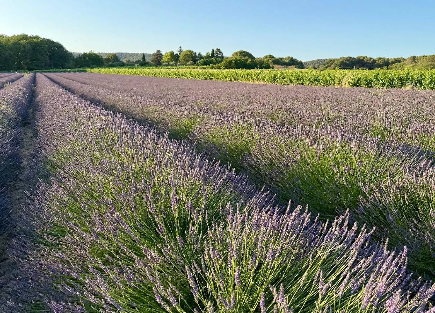 Villa Victoire Au Coeur De La Provence Venelles 0*,  Γαλλία
