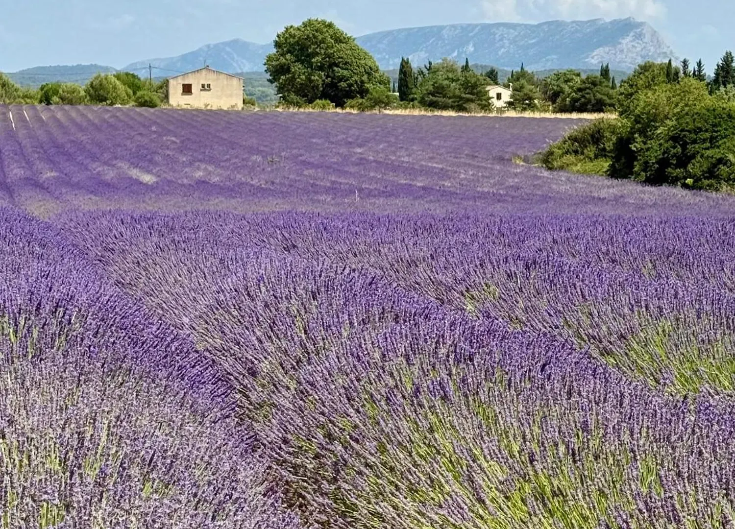 Villa Victoire Au Coeur De La Provence Venelles
